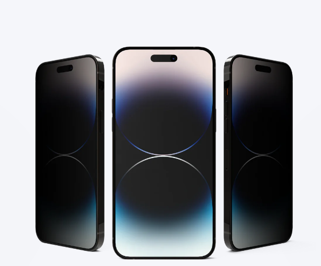 Sichtschutzfolie + Kameraschutz